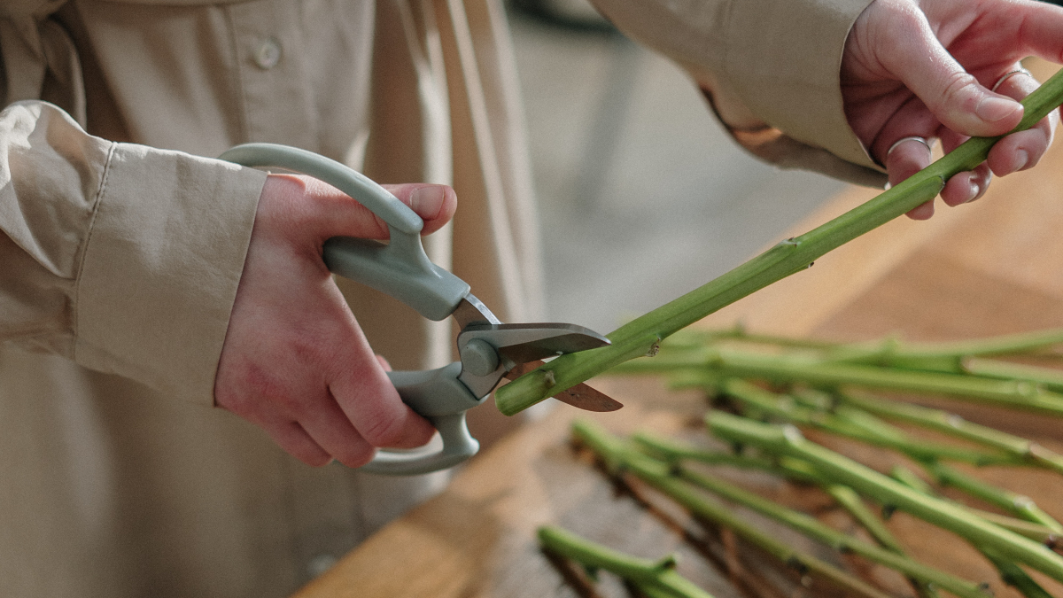 管理人は、花の資材・道具をどこで買うか