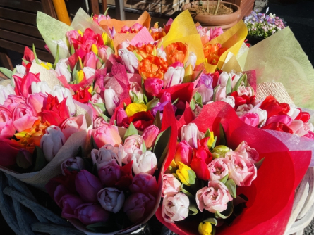 子供用花束の買い方・選び方