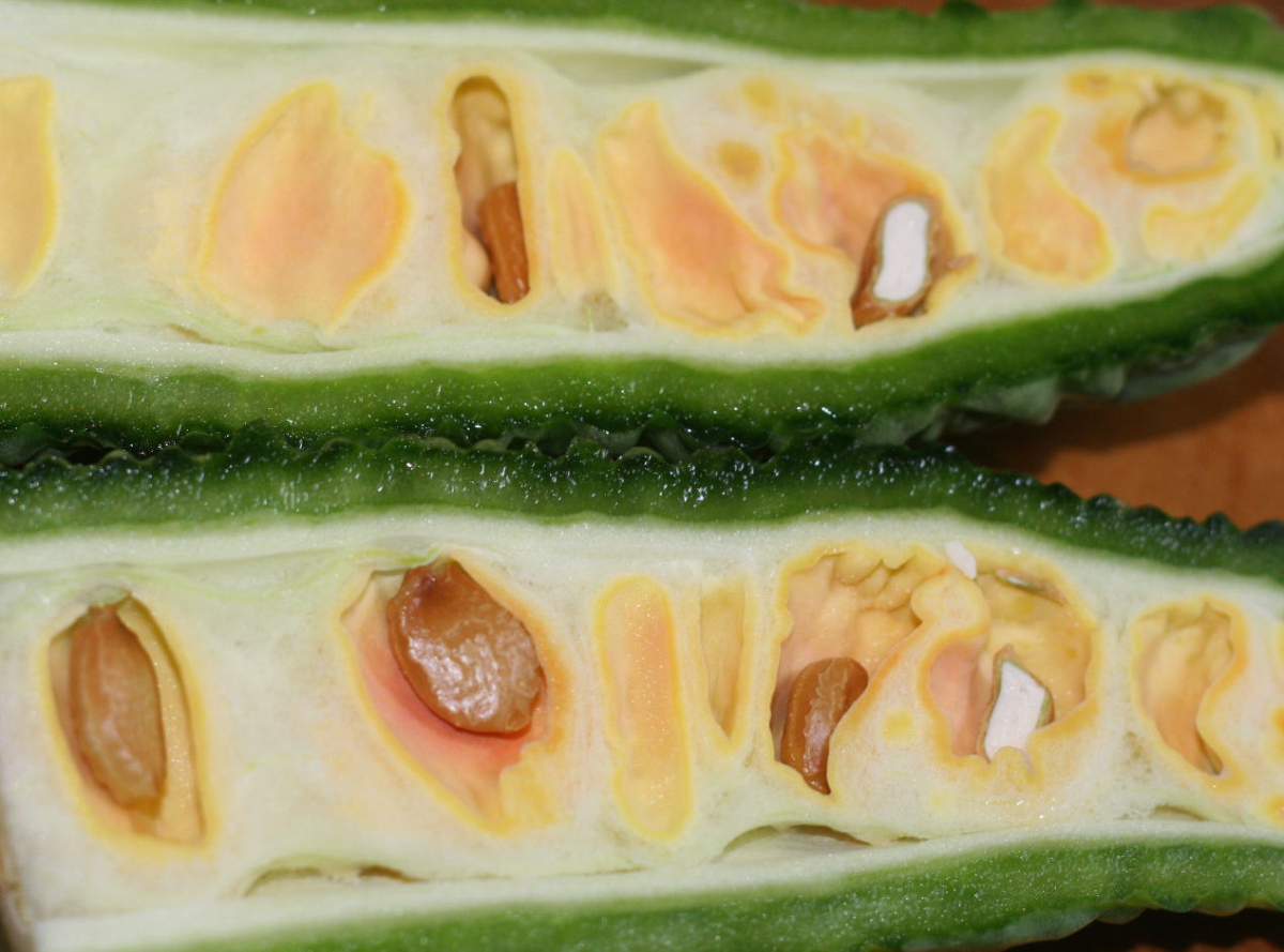 自由研究テーマに適した野菜はどれ？