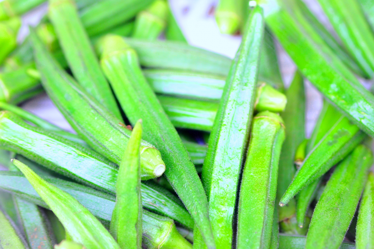 自由研究に適した野菜：オクラ