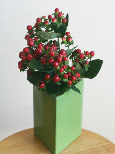 緑の花瓶と赤い花で、クリスマスツリーっぽく活ける