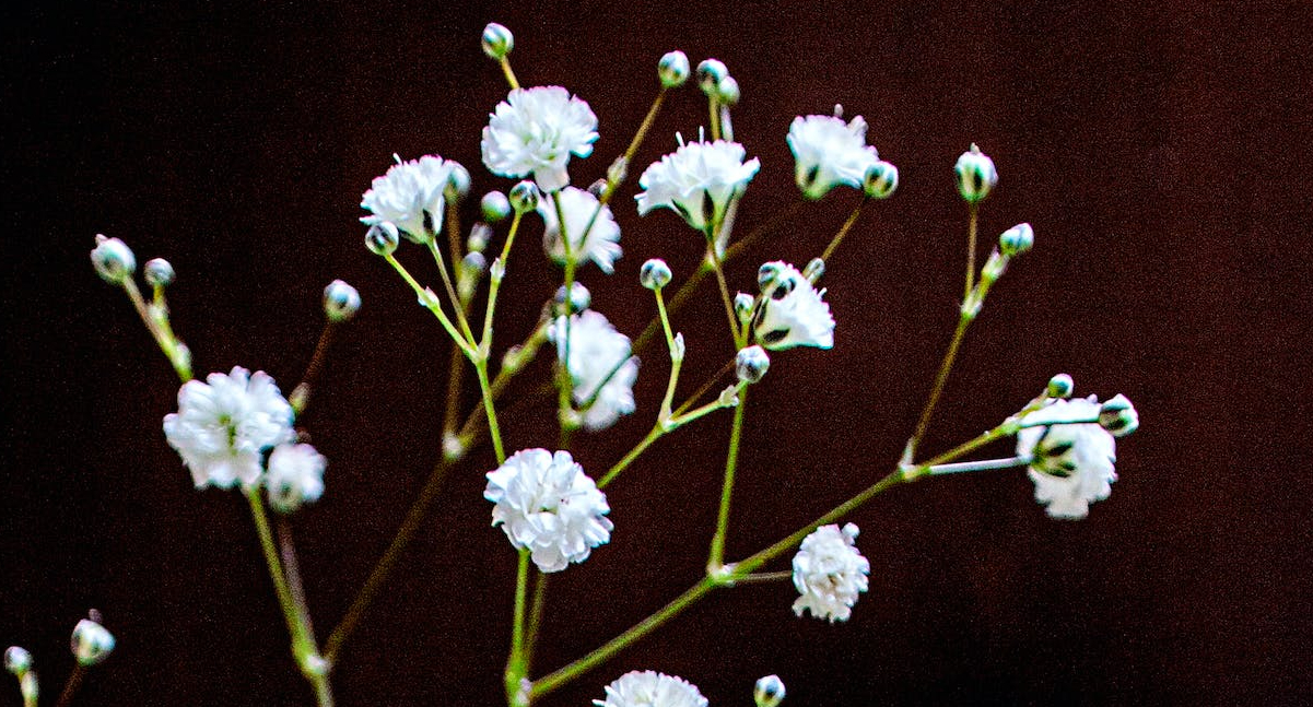 生花髪飾りの作り方（スプレーバラとかすみ草）