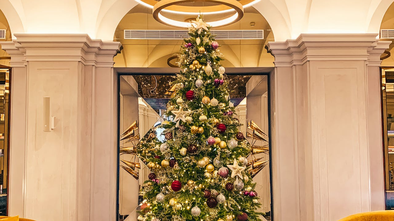 大型のクリスマスツリーを飾るなら……レンタル業者や設置の注意、ツリーの種類について