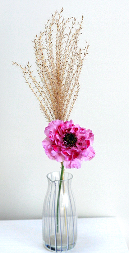 ドライフラワーのススキの飾り方の例……花瓶や100均食器にドライフラワーのススキでお月見花を飾る