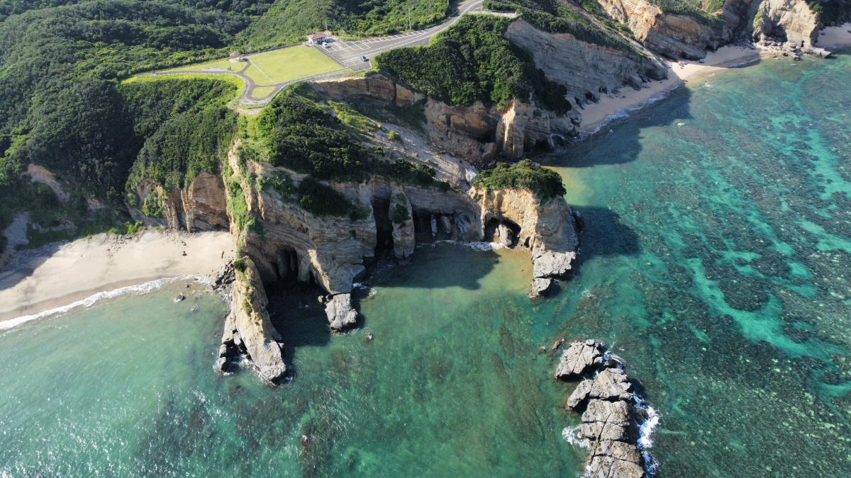 種子島：離島に花をおくる